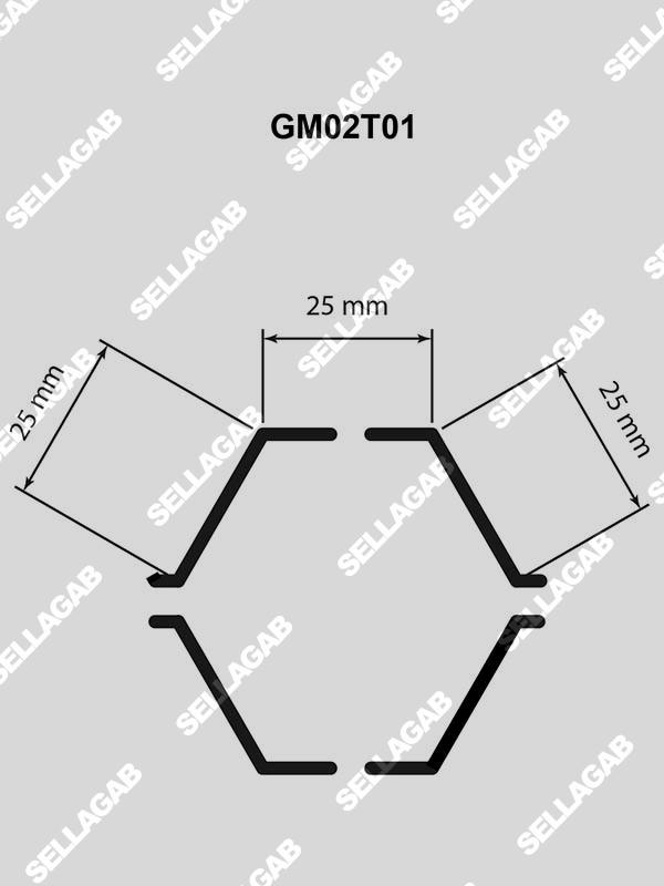 GM02T01