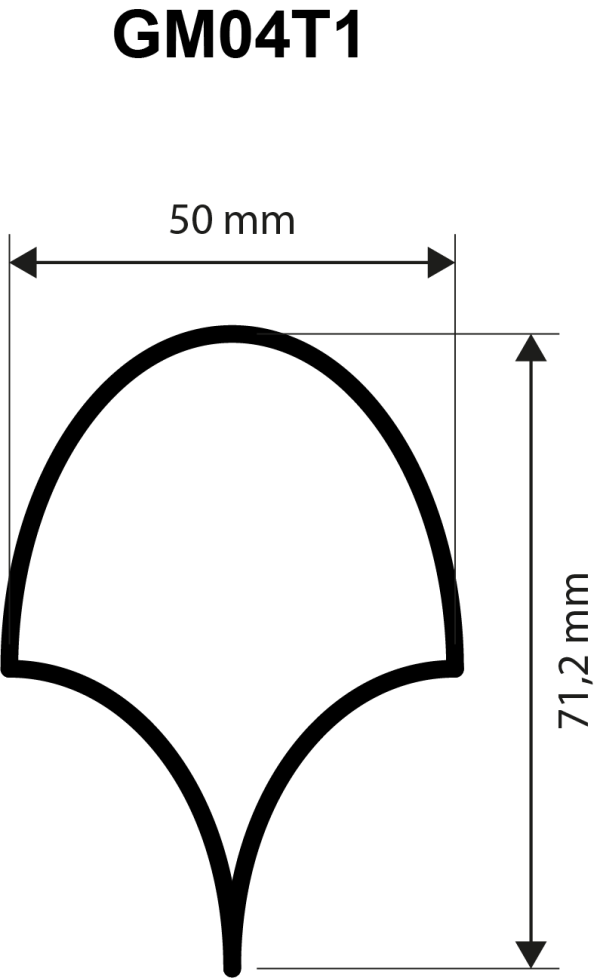 GM04T01