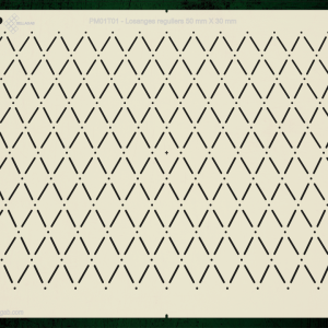 PM01T01CS
