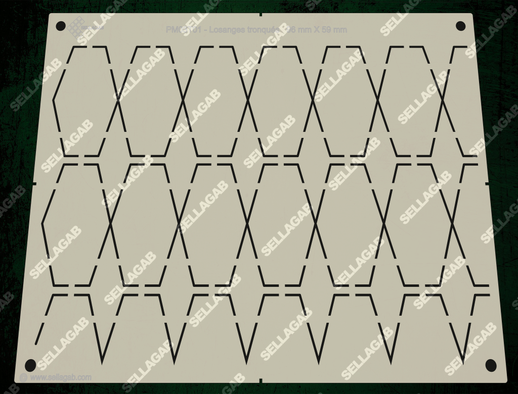 PM03T01CS